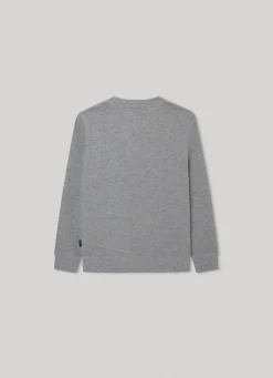 Rapaz Pepe Jeans Sweatshirts E Malhas>Sweatshirt Estampado Fotografico