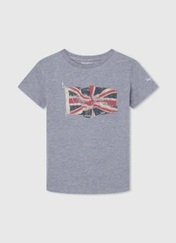 Rapaz Pepe Jeans T-Shirts>T-Shirt Algodao Logo Bandeira