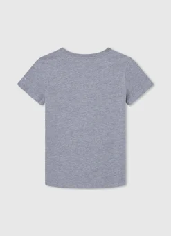 Rapaz Pepe Jeans T-Shirts>T-Shirt Algodao Logo Bandeira
