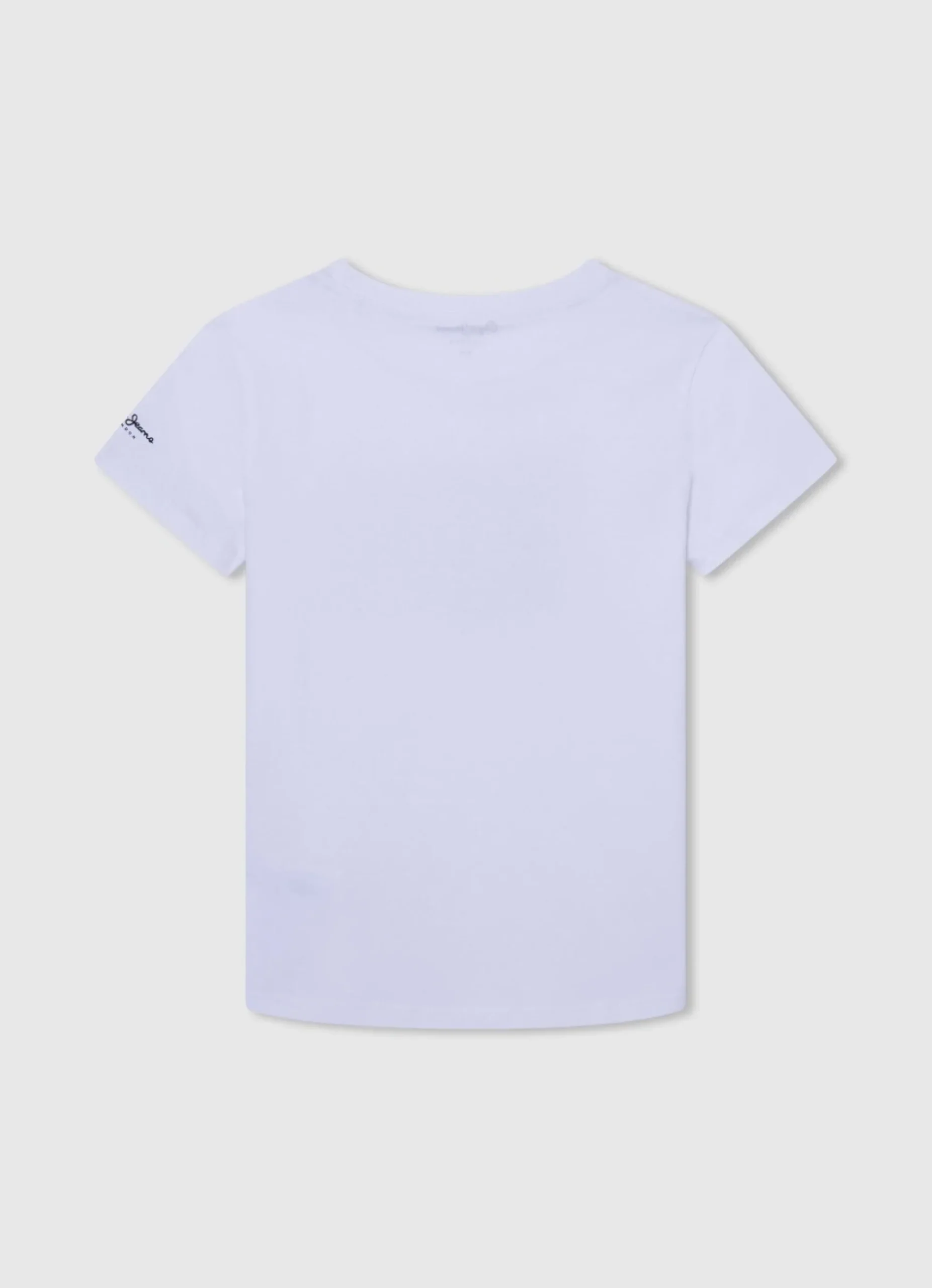 Rapaz Pepe Jeans T-Shirts>T-Shirt Algodao Logo Bandeira