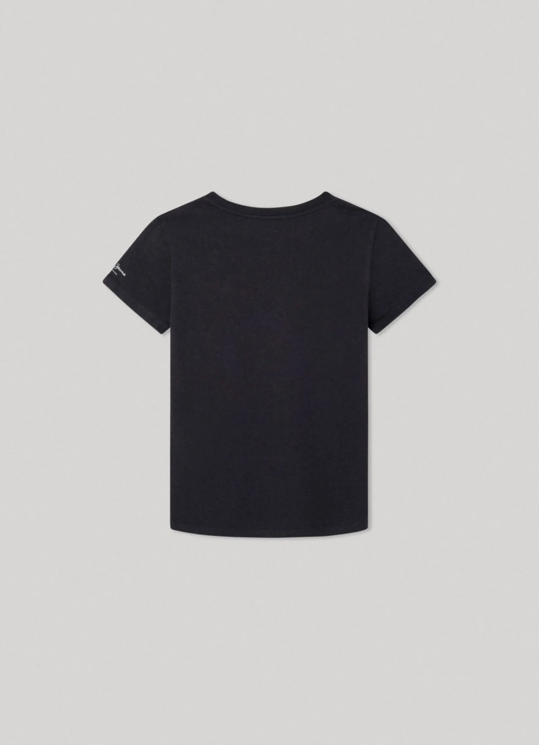 Rapaz Pepe Jeans T-Shirts>T-Shirt Algodao Logo Bandeira
