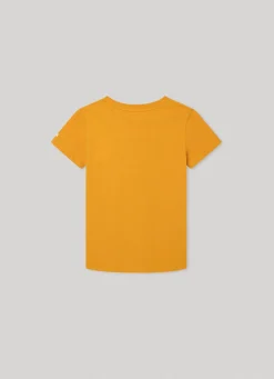 Rapaz Pepe Jeans T-Shirts>T-Shirt Logo Estampado